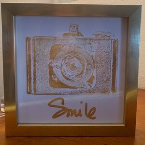 Gold frame camera wall art